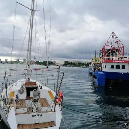 Lejlighed ,,edelvais- Lux